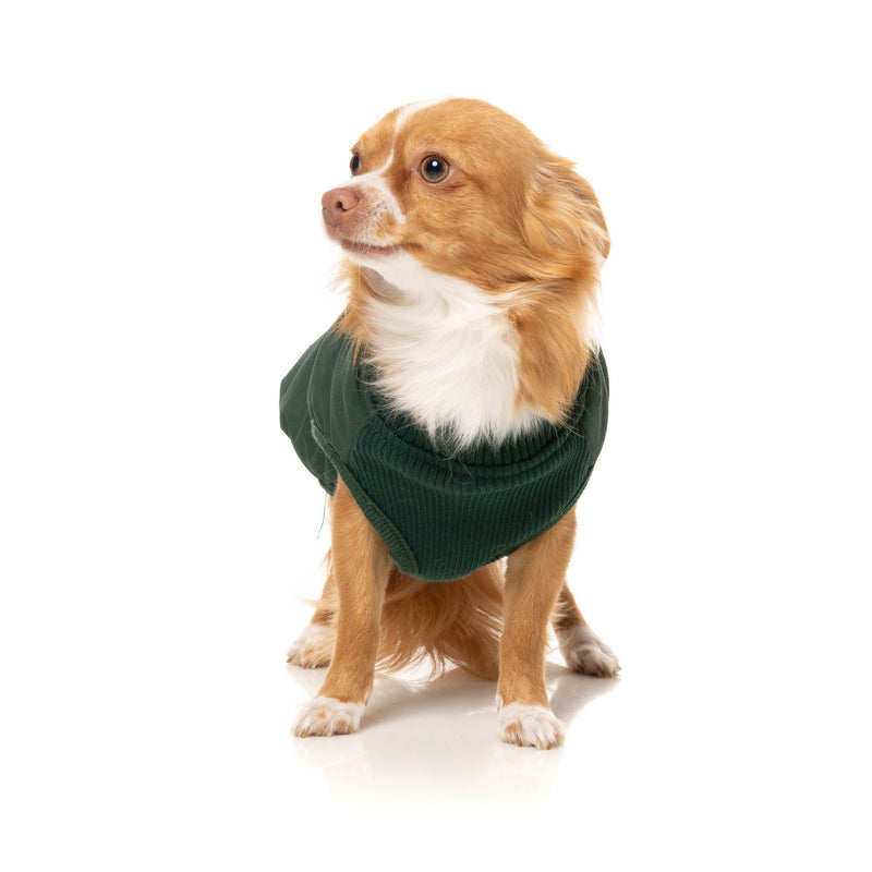 FuzzYard Dog Apparel East Macgyver Jacket Green Size 7
