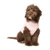 FuzzYard Dog Apparel East Macgyver Jacket Pink Size 6