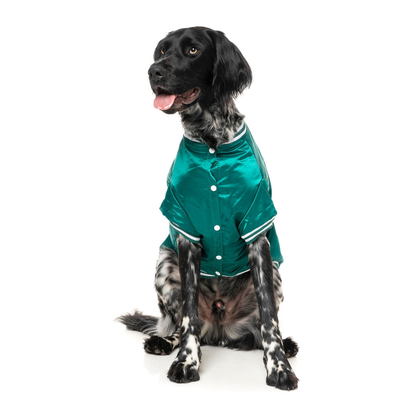 FuzzYard Dog Apparel Fastball Jacket Green Size 6