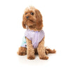 FuzzYard Dog Apparel Ormond Raincoat Purple/Blue Size 1