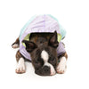 FuzzYard Dog Apparel Ormond Raincoat Purple/Blue Size 2