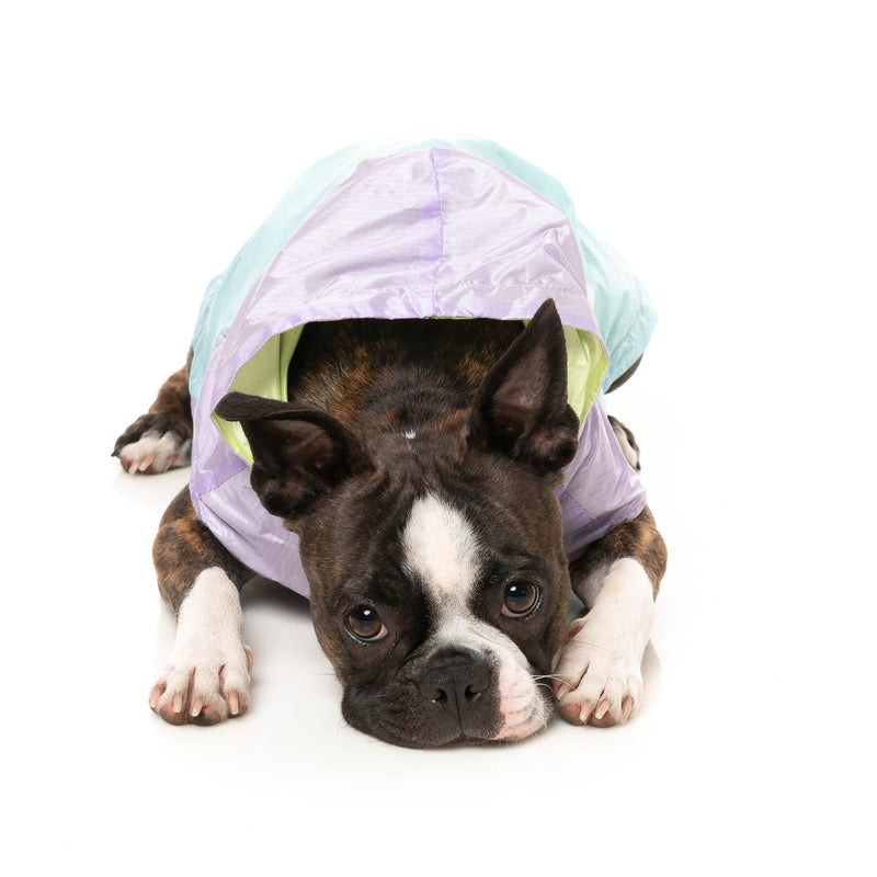 FuzzYard Dog Apparel Ormond Raincoat Purple/Blue Size 2
