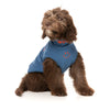 FuzzYard Dog Apparel Rock It Sweater Blue Size 6