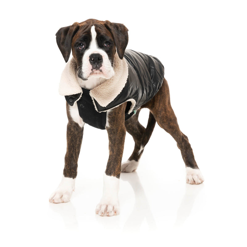 FuzzYard Dog Apparel Sebastian Jacket Black Size 5