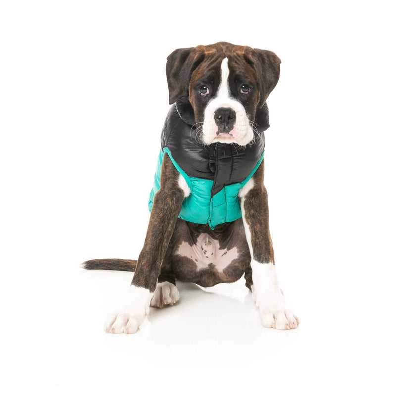 FuzzYard Dog Apparel South Harlem Jacket Teal Size 1