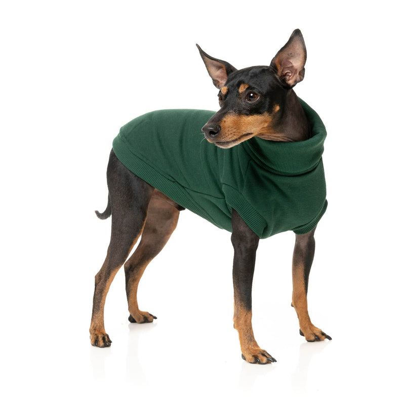 FuzzYard Dog Apparel Stevie Sweater Green Size 2