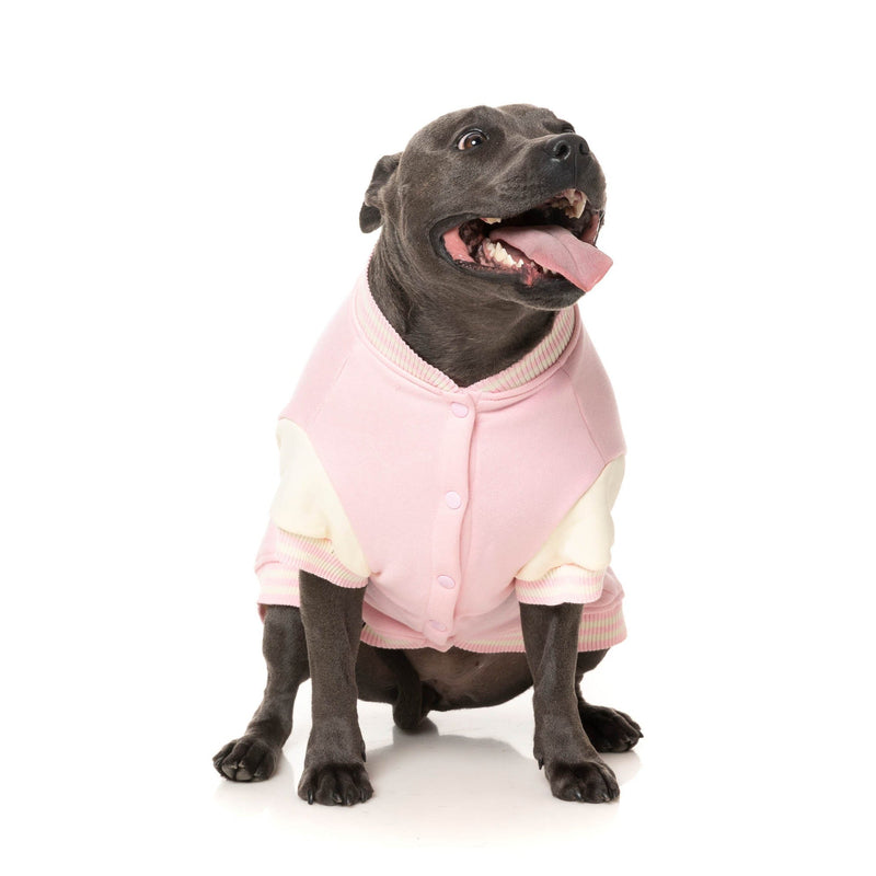 FuzzYard Dog Apparel The Letterman Jacket Pink Size 4