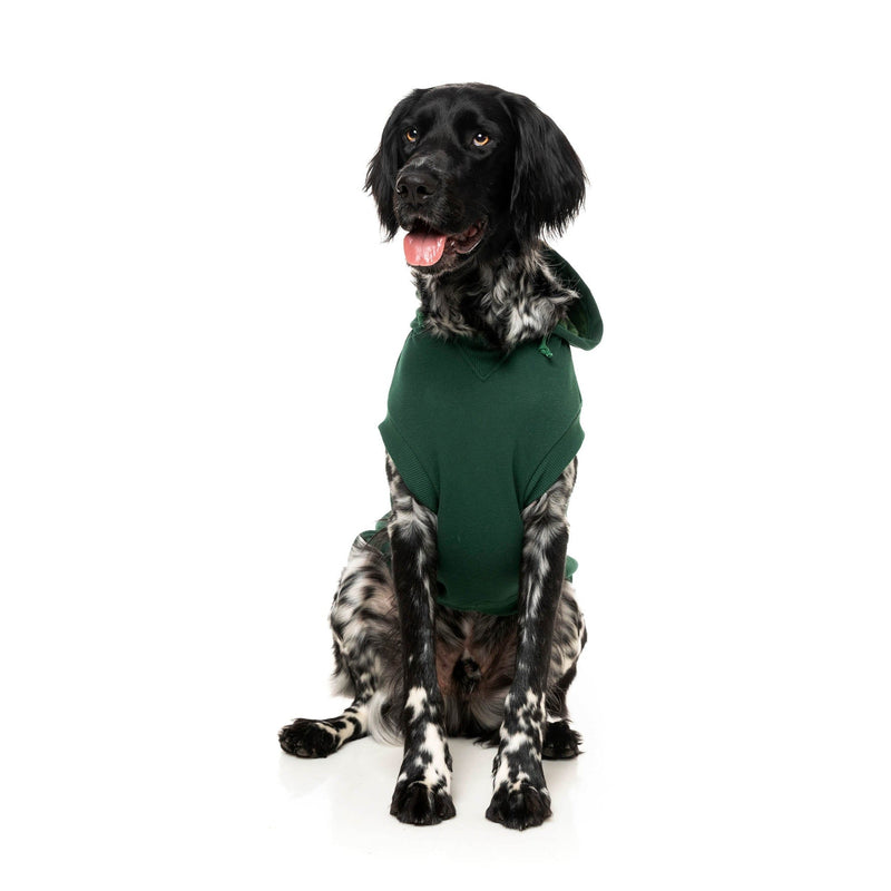FuzzYard Dog Apparel Treats Hoodie Green Size 5