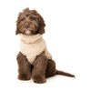 FuzzYard Dog Apparel Turtle Teddy Sweater Beige Size 6