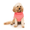 FuzzYard Dog Apparel Turtle Teddy Sweater Peach Size 1