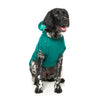 FuzzYard Dog Apparel Wooftagram Hoodie Green Size 7