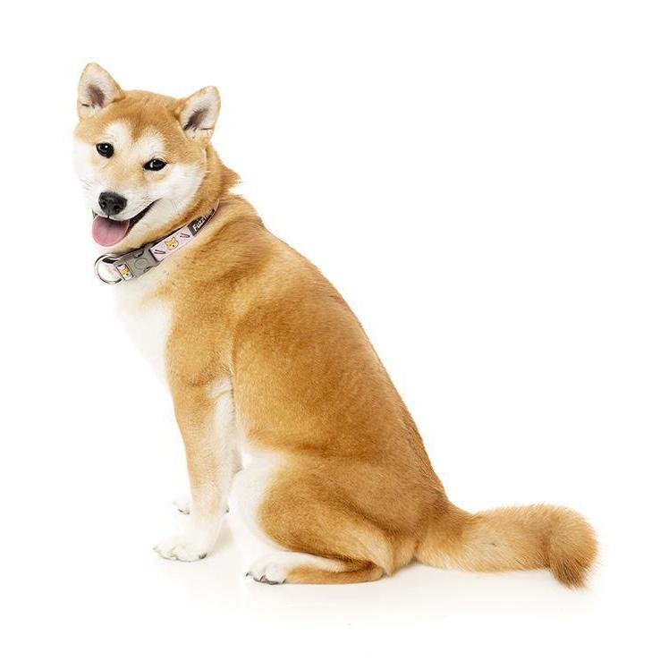 FuzzYard Dog Collar SuShiba Large***
