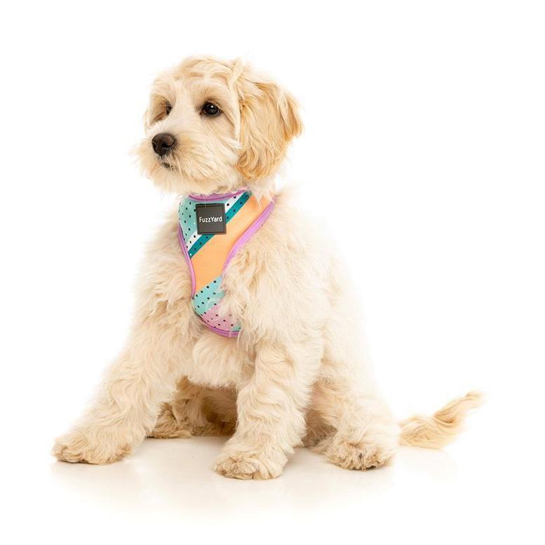 FuzzYard Dog Harness Footloose Small*