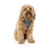 FuzzYard Dog Harness Northcote Extra Small***