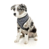 FuzzYard Dog Harness Northcote Extra Small***