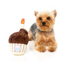 FuzzYard Dog Toy Birthday Cupcake