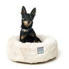 FuzzYard Dreameazzzy Dog Bed Cream Medium (+_+)