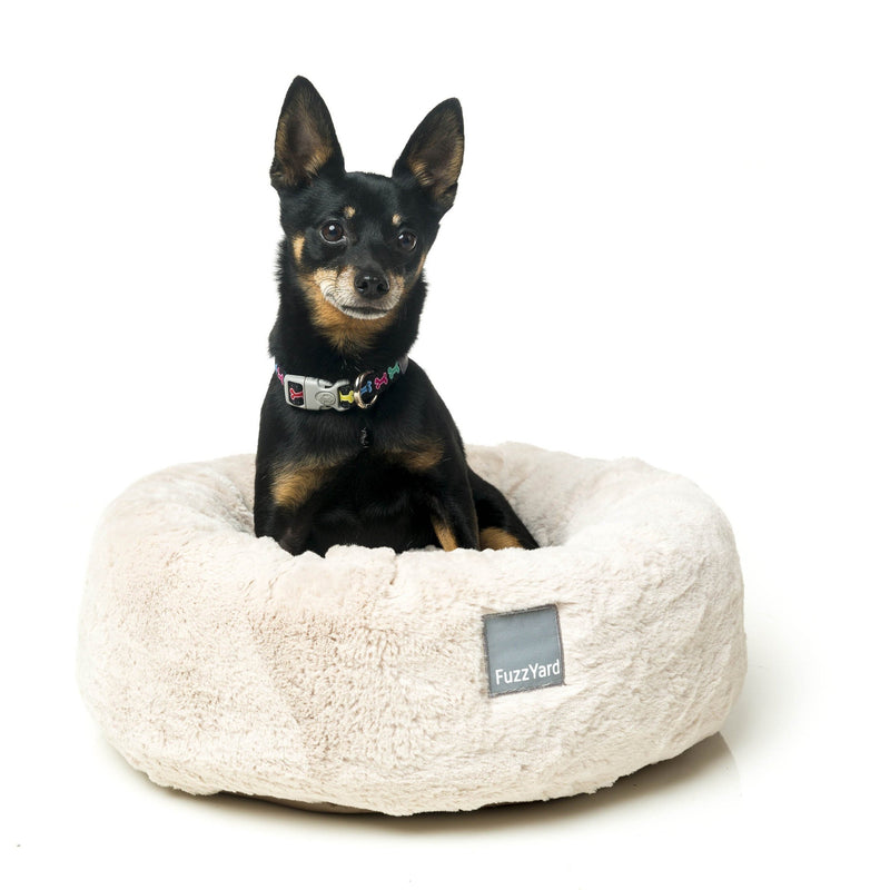 FuzzYard Dreameazzzy Dog Bed Cream Medium (+_+)