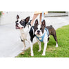 FuzzYard Life Step In Dog Harness French Blue Extra Extra Small*~*