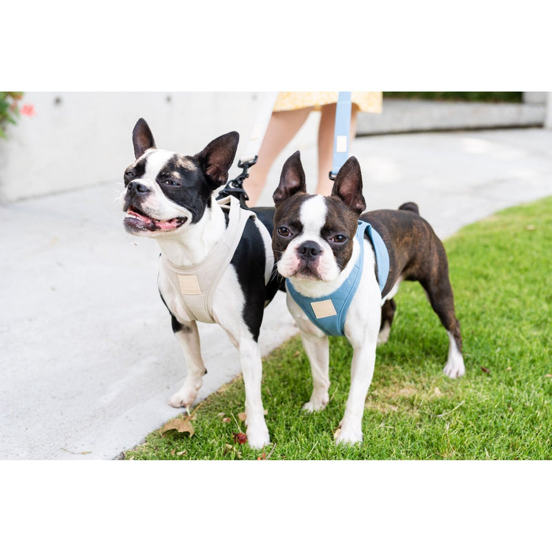 FuzzYard Life Step In Dog Harness French Blue Extra Extra Small*~*