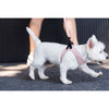 FuzzYard Life Step In Dog Harness Soft Blush Extra Extra Small