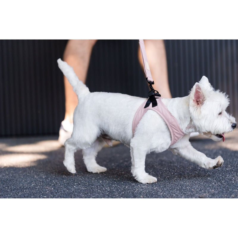 FuzzYard Life Step In Dog Harness Soft Blush Extra Large*~*