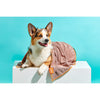 FuzzYard Microfibre Dog Drying Towel Brown with Orange Trim
