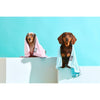 FuzzYard Microfibre Puppy Drying Towel Blue with Grey Trim