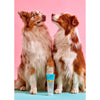 FuzzYard Naturals 2 In 1 Dog Shampoo + Conditioner 220ml