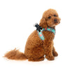FuzzYard Step In Dog Harness Summer Punch Small