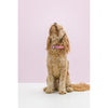 Gummi Bling Medium Pink Dog Collar*