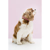 Gummi Bling Medium Pink Dog Collar*