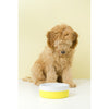 Gummi Ceramic Large Yellow Dog Bowl***
