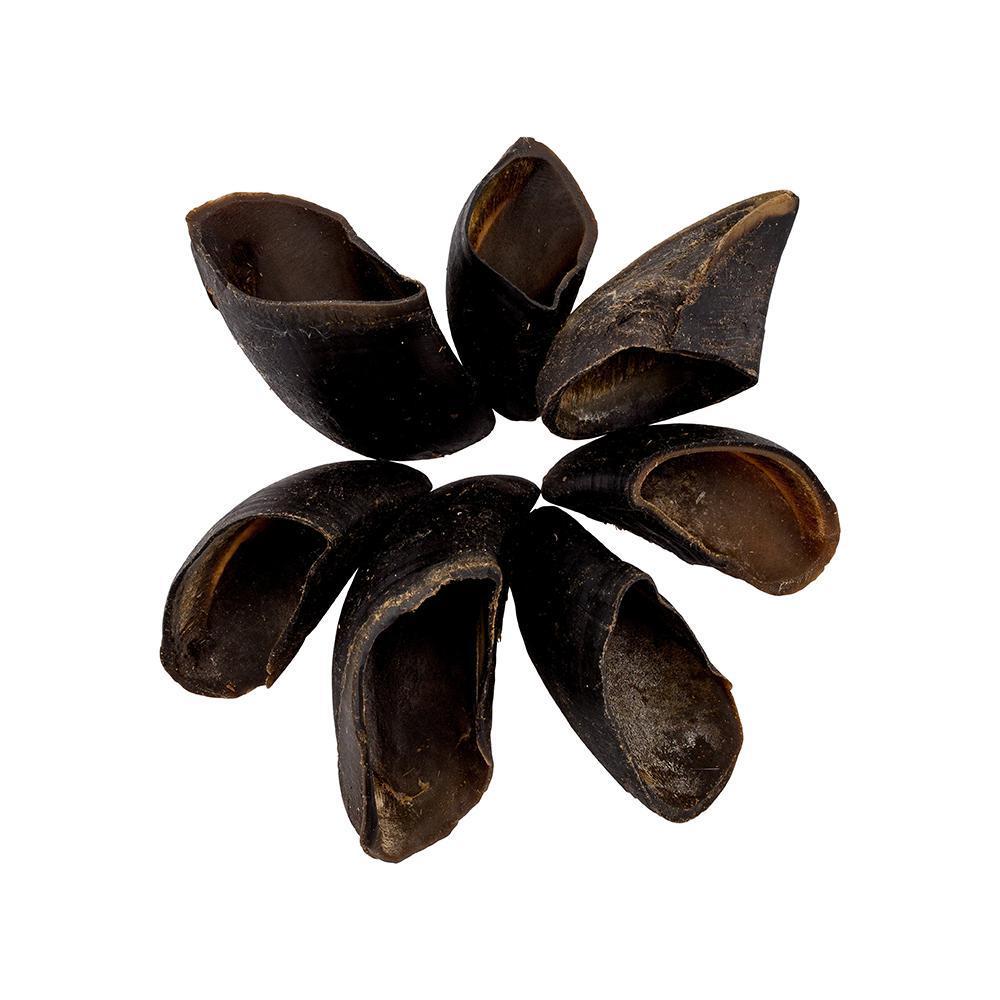 Habitat Naturals Cow Hoof-Habitat Pet Supplies