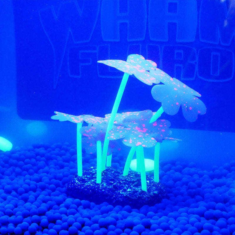 Happy Deko Wham Fluro Feather Coral Fish Tank Ornament*