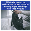 Hills Prescription Diet Cat Urinary Stress Weight and Urinary Care + Metabolic Chicken Wet Food Pouches 85g x 12