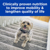 Hills Prescription Diet Dog k/d + Mobility Kidney and Joint Care Dry Food 8.48kg