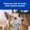 Hills Prescription Diet Dog u/d Urinary Care Dry Food 12.5kg