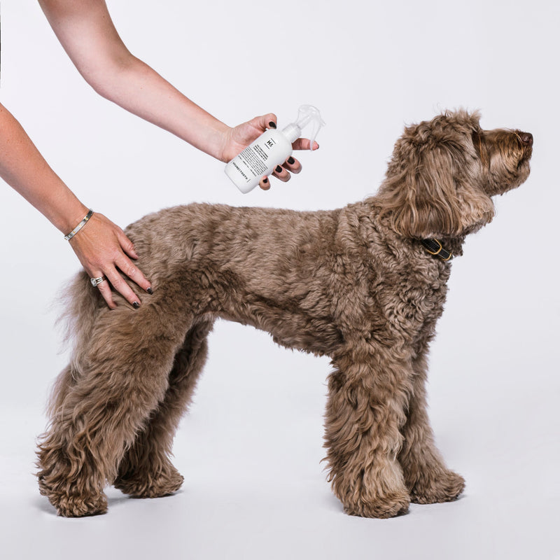 Houndztooth Charlies Blend No.3 Goat Milk Conditioning and Deodoriser Spray 250ml (+_+)