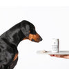 Houndztooth Coat, Skin & Nails Health Supplement 200g ^._.^
