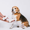 Houndztooth Cocos Blend No.4 Rescue and Relief Spray 250ml (+_+)