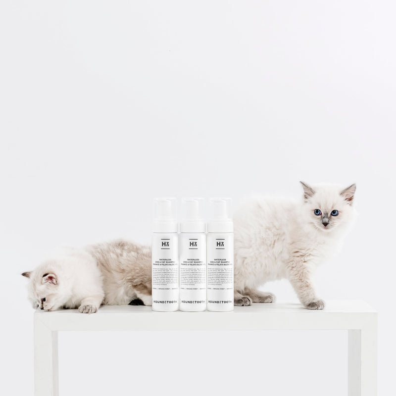 Houndztooth Frankie and Felixs Blend No.5 Waterless Shampoo for Cats and Dogs 150ml (+_+)