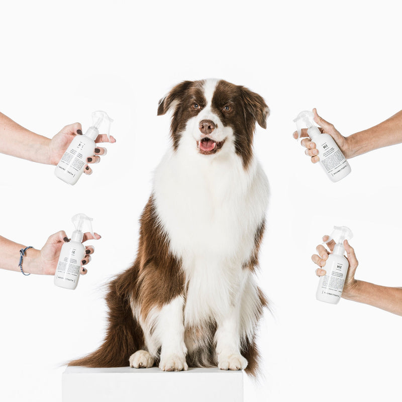 Houndztooth Hugos Blend No.1 Goat Milk Conditioning and Deodoriser Spray 250ml (+_+)