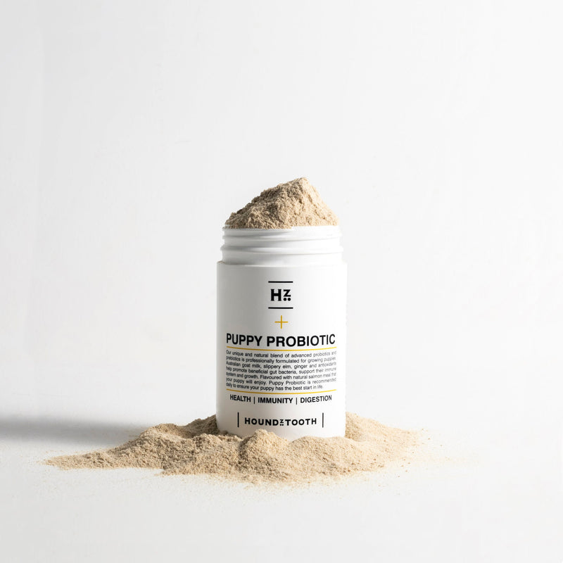 Houndztooth Puppy Probiotic Health Supplement 200g ^._.^