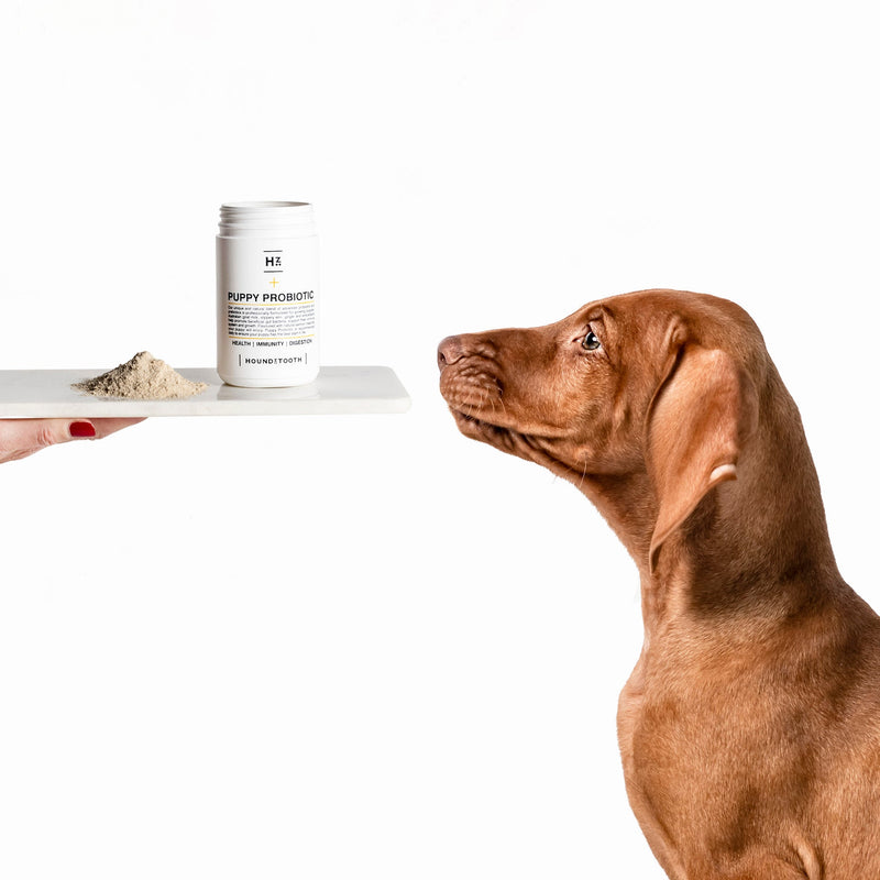 Houndztooth Puppy Probiotic Health Supplement 200g ^._.^