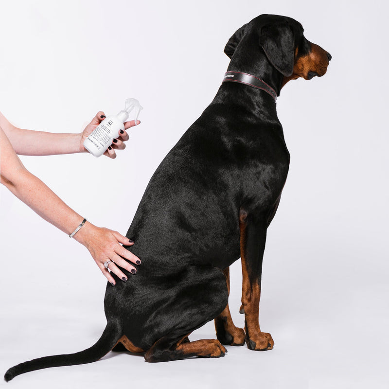 Houndztooth Stellas Blend No.2 Goat Milk Conditioning and Deodoriser Spray 250ml :->>