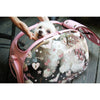 Ibiyaya Transparent Hardcase Pet Carrier Valentine Pink