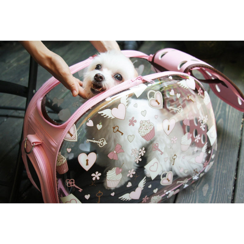 Hard case cheap pet carrier