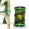 Insectimo Pod Stick Insect Enclosure