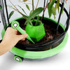 Insectimo Stick Insect Egg Tweezers